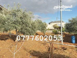  5 مزرعة لقطة مميزة مع بيت طابقين مطلة ومرتفعة