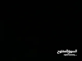  1 مطلوب شقة بجنين