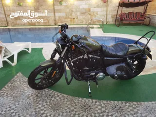  2 Iron883 very clean