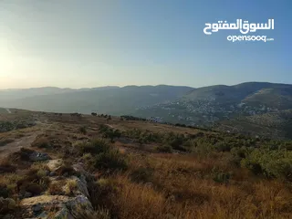  5 للبيع قطعة ارض من اراضي اجنسنيا مساحتها 5 دونم و 954 متر كوشان طابو مستقل
