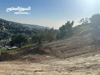 15 قطع سكنيه (سكن ج ) منطقه(عين جنا/ عجلون) وسط البلد،مرتفعه واطلاله جميلة على القلعة واصل جميع الخدمات