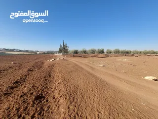  17 مادبا ماعين ارض زراعية مميزة عليها مزرعة زيتون جاهزة واصل جميع الخدمات مساحتها 4500 م