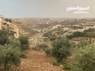  17 للبيع: أرض بإطلالة خلابة وموقع هادئ في دابوق من المالك مباشرة فيها منسوب