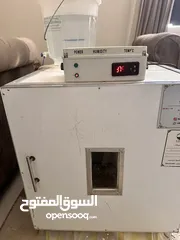  1 فقاسة المدينه