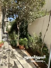  10 شقة طابقية مميزة للايجار / جبل النزهة