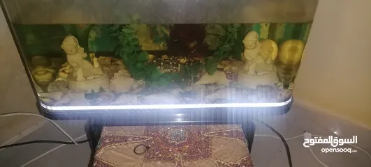  5 كنب وحوض سمك