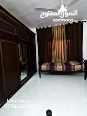  21 مزرعة وشاليه الباشا