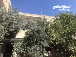  2 عمارة 4 طوابق + بيت طابقين مستقل