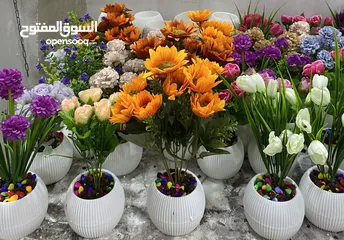  5 شروة مكرمة و قوار ورد