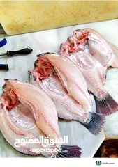  25 اعلاف أسماك ALFA-MIX FISH FEED
