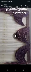  1 برداية للبيع
