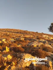  1 ارض للبيع في دورا كوشان طابو امكانيات البدل على سيارة