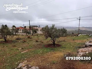  3 فرصه للشراء ارض  مشجره جاهزه ومخدومه شارع معبد خدمات كامله اطلالات بانورامية ب 18 الف كامل القطعه