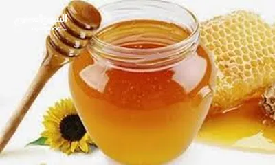  12 عسل طبيعي من المنحله للعلبه شرط الفحص اذا مغشوش يرجع