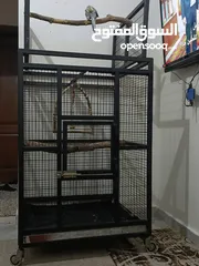  7 قفص  ببغاء  كاسكو أو مكاوي تفصيل متحرك بعجال  حجم كبير وثقيل وشي مرتب