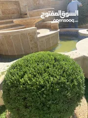  4 فني تنسيق حدائق