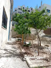  12 بيت للبيع في إسكان صاحية العابد