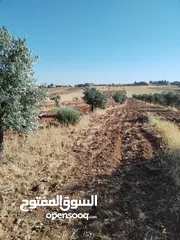  11 ارض للبيع مساحه 3400م قوشان مستقل مفروووز