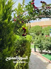  9 شاليه مميز للبيع