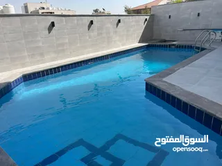  20 شقة 4 نوم مع مسبح للايجار ( Property 39164 )-175034641