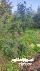  2 بيت للبيع في وسط ارتاح .