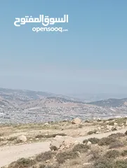  1 ارض مميزه جدا للبيع فورا مطل الجبيهه