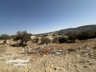  6 قطعة ارض نص دونم 500متر منطقة A  للبيع جفنا-زعبوب