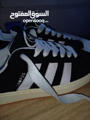  7 adidas campus جديد يتانمي نمرة 42 سبب  البيع كبير