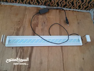  7 حوض اسماك كريستال