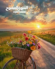  2 بيت مستقل للايجار في بشرى