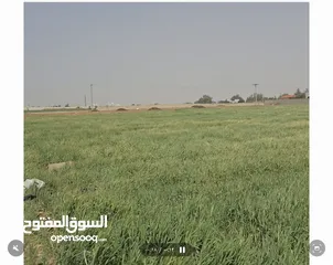  13 للبيع قطعة أرض 3.8 دونم في اللبن القليب قرب مشروع اعمار من المالك مباشره