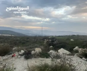  3 ارض اجنسنيا طابو