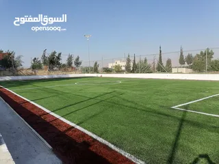  1 عشب صناعي واكسسوارات الملاعب