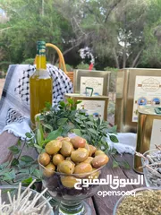  8 زيت الزيتون الفلسطيني البكر عصرة أولى 10/2024