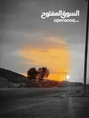  3 شقق للبيع ومرتبة