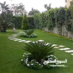  13 مشاتل سندس الزراعيه لتنسيق الحدائق وزراعة النخيل والمقاولات وتصميم افضل الشاليهات
