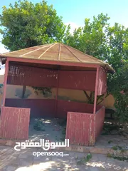  26 قصيب أخضر واصفر لتزيين الحدائق والمنتزهات والجلسات الخارجيه