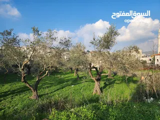  1 ارض للبيع في  العالي جدا عاليه ومطله ومرتفعه  صالحه للبيناء فيلا على القما عاليه جفنا جفنا جفنا