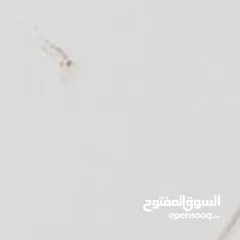  3 مطلوب شقة صغيره فارغة للإيجار