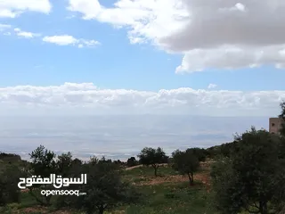  8 2300 م السلط المغاريب قطعة ملوكية تصلح ل فيلا او مزرعة اطلالة ع الغرب و جبال فلسطين