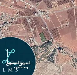  1 قطعة ارض من اراضي مرصع سلحوب حي عذمة بجانب غابة الحراج مطلة مشجرة مسيجة يوجد بئر ماء زراعي تجميعي