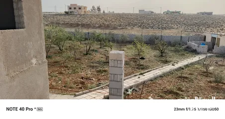  6 فيله للبيع