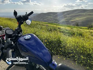  5 2019 Harley-Davidson Sportster 48