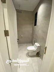  7 اوت سكار  مضمن