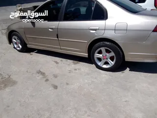  3 حبه بلادها سفيك هايبرد مشاالله