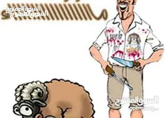  6 لحام جزار دبح في المنازل