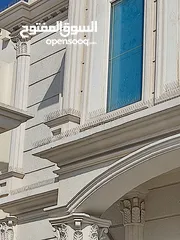 2 طارد الحمام والطيور