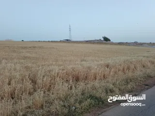  25 مادبا ماعين المشرفة قطعة ارض زراعية مميزة واصل الخدمات ذات اطلالة على البحر الميت واصل الخدمات