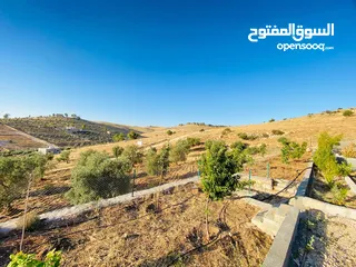  4 مزرعة شاليه للبيع شرق جرش/ حمامة 3.400متربها شاليه من المالك مباشرة مشجرة زيتون مسنسله جدران ستناديه
