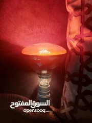  2 لمبات حرارية للدواجن